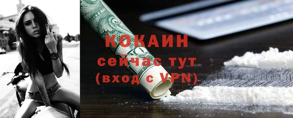 твердый Алексин