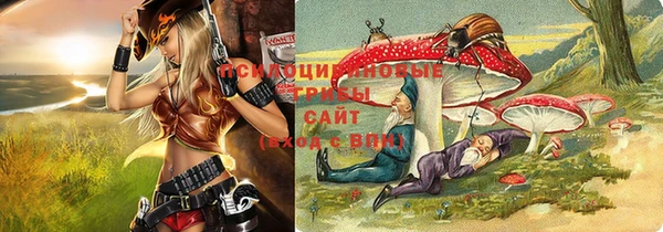 мяу мяу мука Алзамай