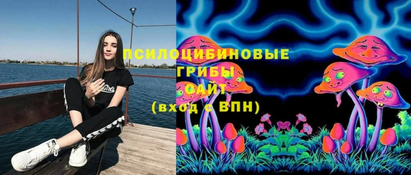 твердый Алексин